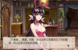 粉红的回忆《姬魔恋战纪》刘备八心剧情介绍！