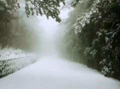 IS语音兰蔻下雪天户外直播，引数万网友观看